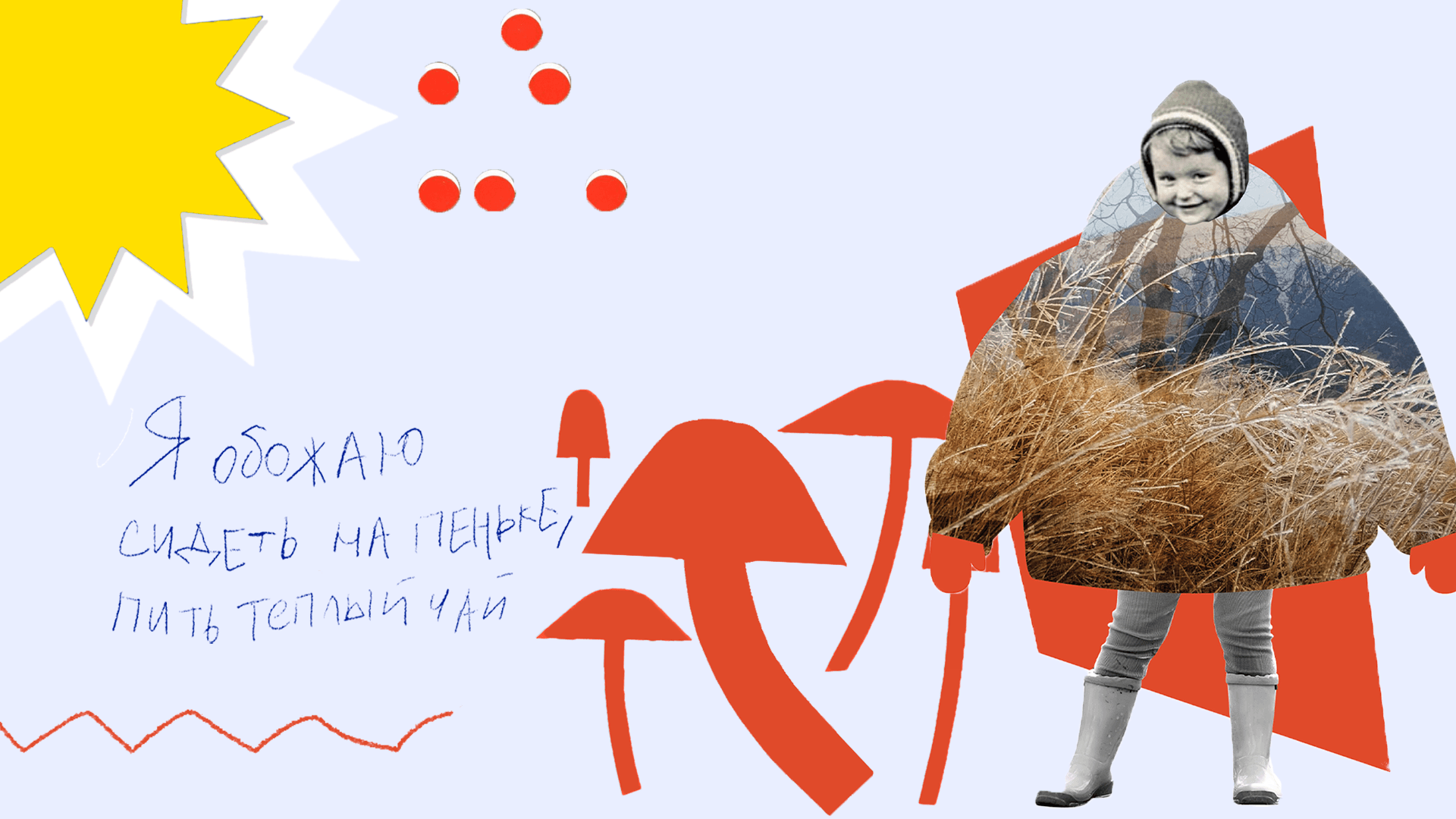 В еловом лесу